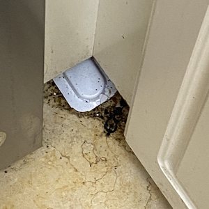 Cleaning Work Photo